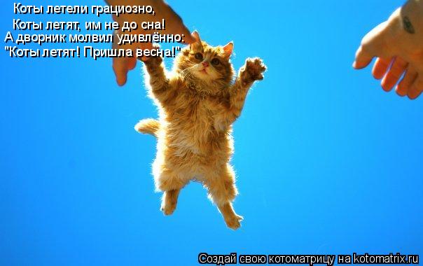 Котоматрица: Коты летели грациозно, Коты летят, им не до сна! А дворник молвил удивлённо: "Коты летят! Пришла весна!"