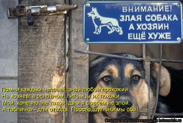 Помни каждый человек, знай любой прохожий: На хозяев, в основном, питомцы их похожи. Мой, конечно, не... Котоматрица: Помни каждый человек, знай любой прохожий: На хозяев, в основном, питомцы их похожи. Мой, конечно, не такой, да и я совсем не злой. А табличка -
