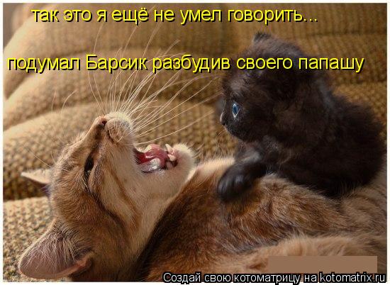 Котоматрица: так это я ещё не умел говорить... подумал Барсик разбудив своего папашу