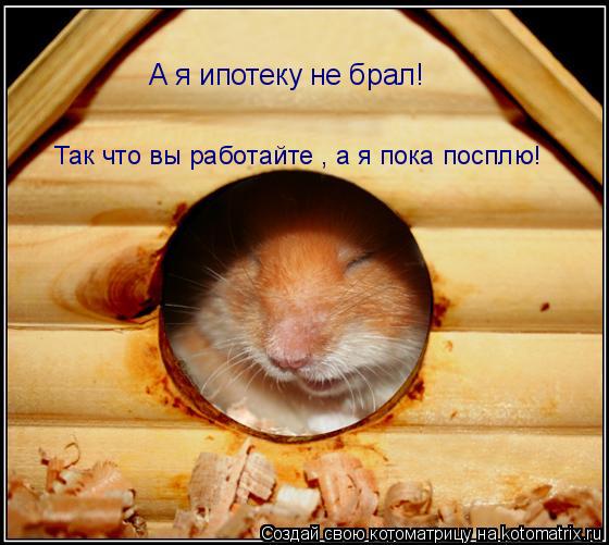 Котоматрица: Так что вы работайте , а я пока посплю! А я ипотеку не брал!