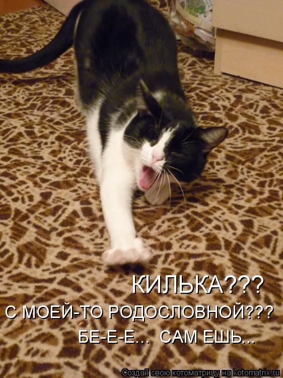 Котоматрица: КИЛЬКА???   С МОЕЙ-ТО РОДОСЛОВНОЙ???       БЕ-Е...      БЕ-Е-Е...  САМ ЕШЬ...