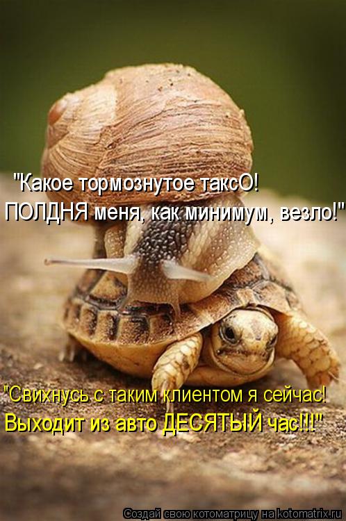 Котоматрица: "Какое тормознутое таксО! "Свихнусь с таким клиентом я сейчас! ПОЛДНЯ меня, как минимум, везло!" Выходит из авто ДЕСЯТЫЙ час!!!"
