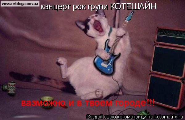 Котоматрица: канцерт рок групи КОТЕШАЙН вазможно и в твоем городе!!!