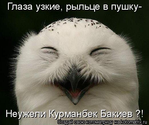 Котоматрица: Глаза узкие, рыльце в пушку- Неужели Курманбек Бакиев ?!