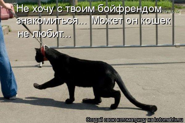 Котоматрица: знакомиться... Может он кошек не любит... Не хочу с твоим бойфрендом