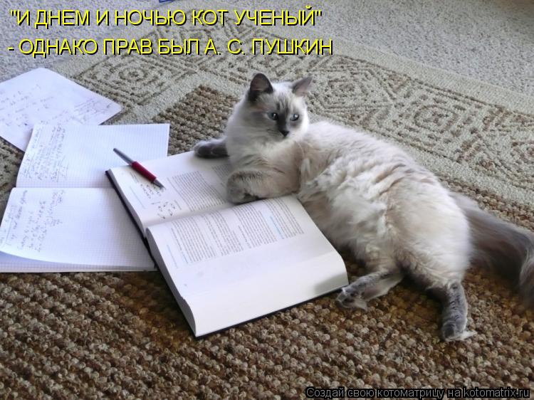 Котоматрица: "И ДНЕМ И НОЧЬЮ КОТ УЧЕНЫЙ" - ОДНАКО ПРАВ БЫЛ А. С. ПУШКИН
