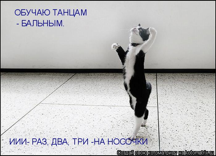 Котоматрица: ОБУЧАЮ ТАНЦАМ - БАЛЬНЫМ. ИИИ- РАЗ, ДВА, ТРИ -НА НОСОЧКИ
