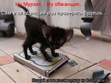 Котоматрица: Ну Мурзик... Ну обманщик... Сам в следующий раз проверять будешь...