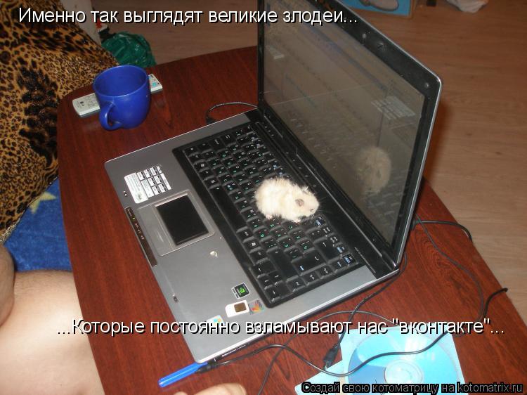 Котоматрица: Именно так выглядят великие злодеи... ...Которые постоянно взламывают нас "вконтакте"...