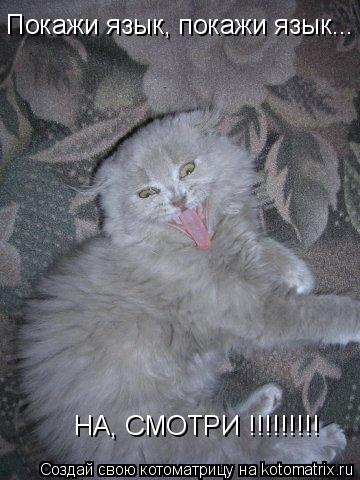 Котоматрица: Покажи язык, покажи язык... НА, СМОТРИ !!!!!!!!!