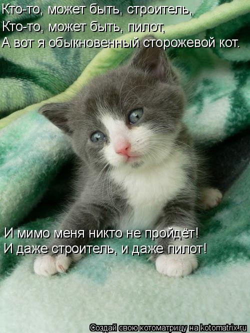 Котоматрица: Кто-то, может быть, пилот, Кто-то, может быть, строитель, И мимо меня никто не пройдёт! А вот я обыкновенный сторожевой кот. И даже строитель, и 