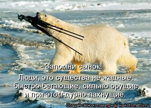 быстро бегающие, сильно орущие и при этом дурно пахнущие. Люди, это существа не жадные, - Запомни сы... Котоматрица: быстро бегающие, сильно орущие и при этом дурно пахнущие. Люди, это существа не жадные, - Запомни сынок!
