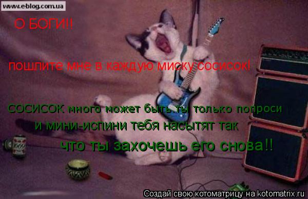 Котоматрица: О БОГИ!! СОСИСОК много может быть.ты только попроси и мини-испини тебя насытят так что ты захочешь его снова!! пошлите мне в каждую миску:соси