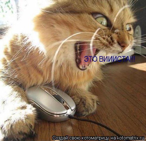 Котоматрица: ЭТО ВИИИСТА!!!