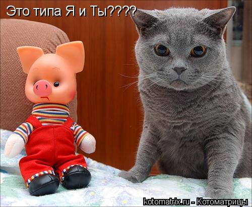 Котоматрица: Это типа Я и Ты????