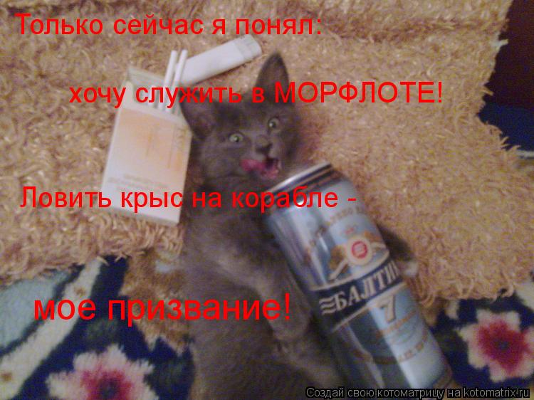 Котоматрица: Только сейчас я понял: хочу служить в МОРФЛОТЕ! Ловить крыс на корабле - мое призвание!