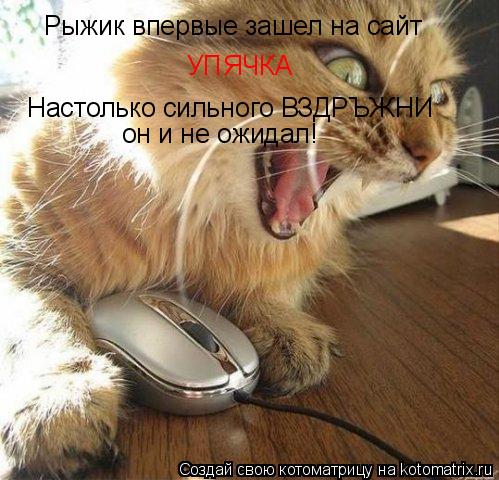 Котоматрица: Рыжик впервые зашел на сайт УПЯЧКА Настолько сильного ВЗДРЪЖНИ он и не ожидал!