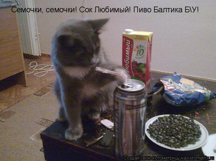 Котоматрица: Семочки, семочки! Сок Любимый! Пиво Балтика БУ!