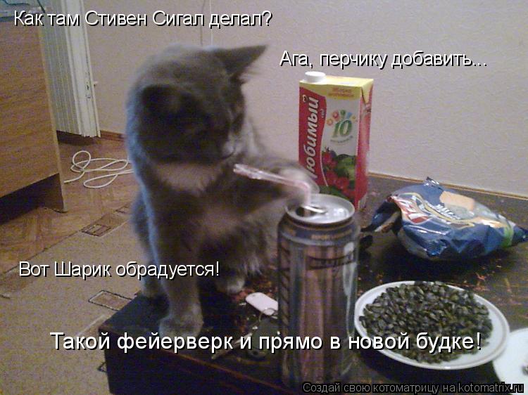Котоматрица: Как там Стивен Сигал делал? Ага, перчику добавить... Вот Шарик обрадуется! Такой фейерверк и прямо в новой будке!