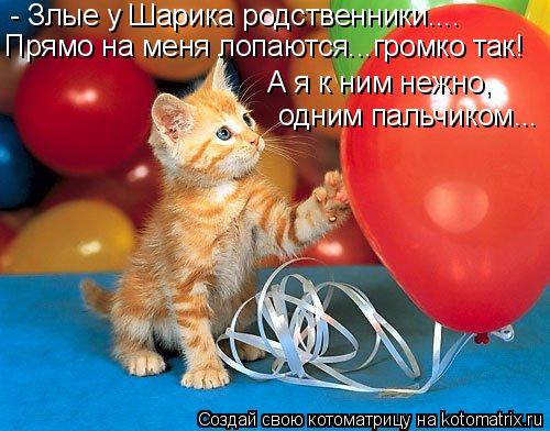 - Злые у Шарика родственники.... Прямо на меня лопаются...громко так! А я к ним нежно, одним пальчико... Котоматрица: - Злые у Шарика родственники.... Прямо на меня лопаются...громко так! А я к ним нежно, одним пальчиком...