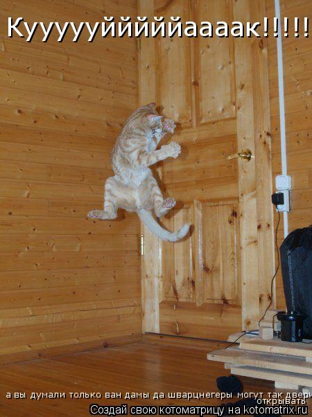 Котоматрица: Куууууйййййаааак!!!!!!!!!!!!! а вы думали только ван дамы да шварцнегеры могут так двери открывать