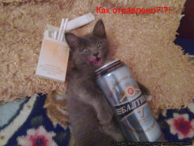 Котоматрица: Как отравлено?!?!...