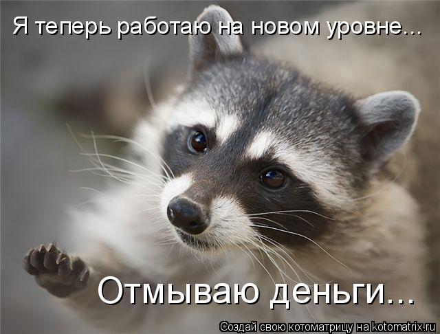 Я теперь работаю на новом уровне... Отмываю деньги...... Котоматрица: Я теперь работаю на новом уровне... Отмываю деньги...