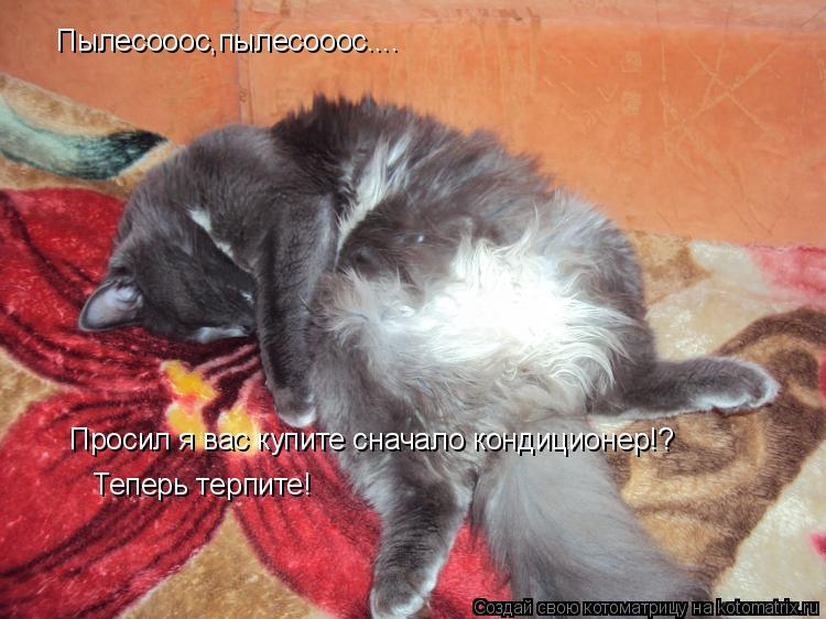 Котоматрица: Пылесооос,пылесооос.... Просил я вас купите сначало кондиционер!?  Теперь терпите!