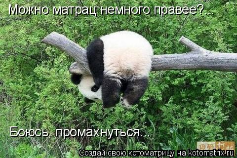 Котоматрица: Можно матрац немного правее?... Боюсь, промахнуться...