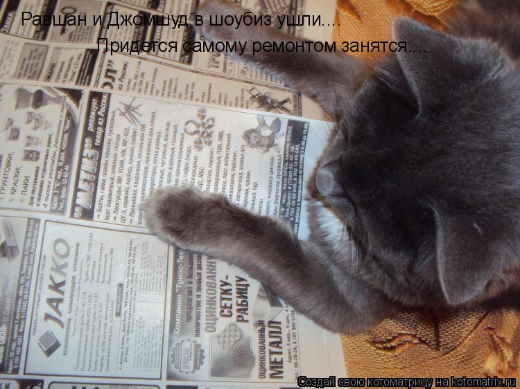 Котоматрица: Равшан и Джомшуд в шоубиз ушли.... Придется самому ремонтом занятся....