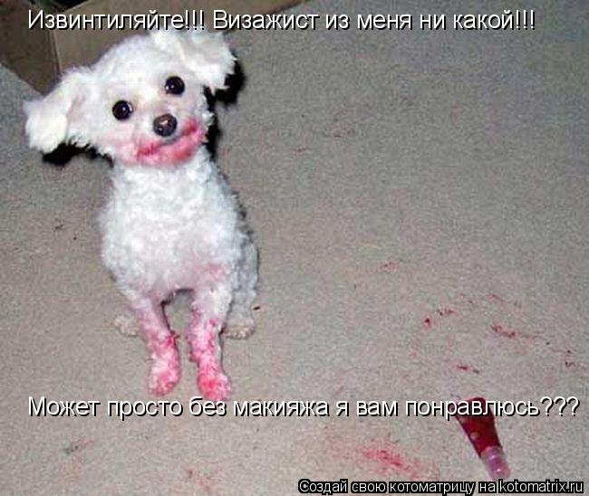 Котоматрица: Извинтиляйте!!! Визажист из меня ни какой!!! Может просто без макияжа я вам понравлюсь???