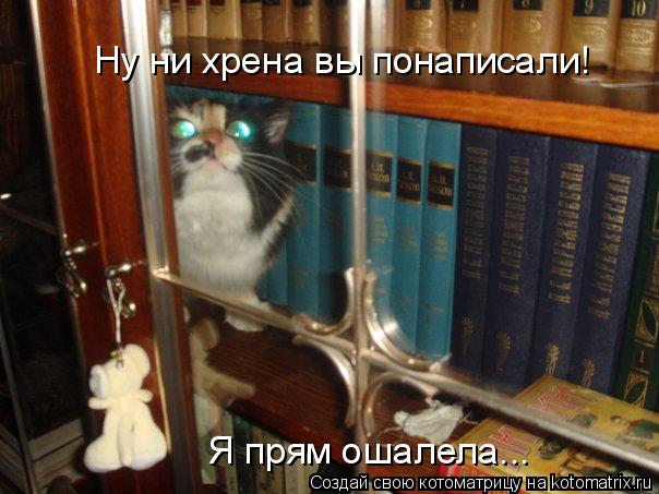 Котоматрица: Ну ни хрена вы понаписали! Я прям ошалела...