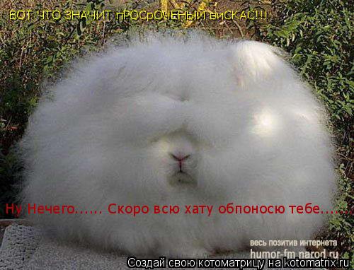 Котоматрица: ВОТ ЧТО ЗНАЧИТ пРОСрОЧЕНЫЙ виСКАС!!! Ну Нечего...... Скоро всю хату обпоносю тебе........