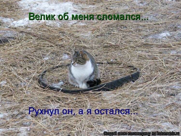 Котоматрица: Велик об меня сломался... Рухнул он, а я остался...