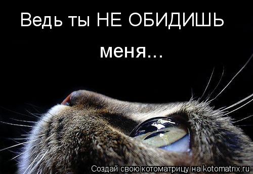 Котоматрица: Ведь ты НЕ ОБИДИШЬ меня...