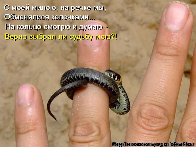 С моей милою, на речке мы, Обменялися колечками... На кольцо смотрю и думаю - Верно выбрал ли судьбу ... Котоматрица: С моей милою, на речке мы, Обменялися колечками... На кольцо смотрю и думаю - Верно выбрал ли судьбу мою?!