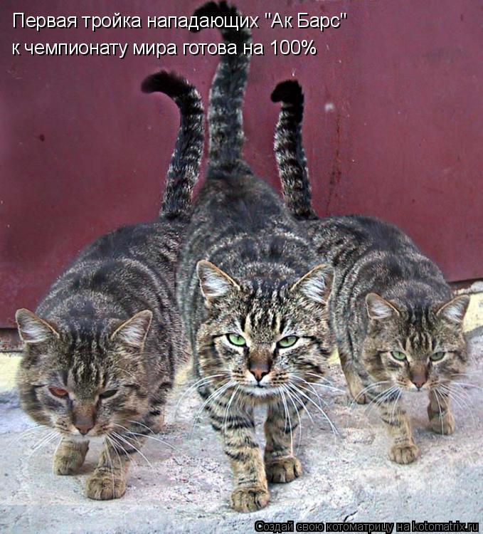 Котоматрица: Первая тройка нападающих "Ак Барс" к чемпионату мира готова на 100%