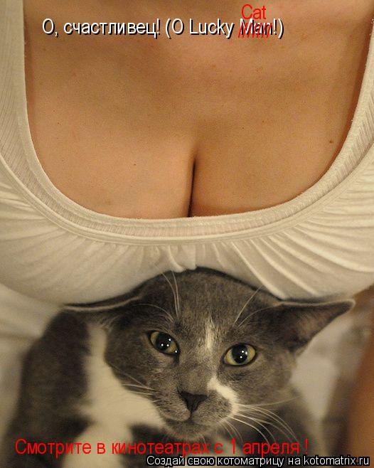 Котоматрица: О, счастливец! (O Lucky Man!) /////// Cat Смотрите в кинотеатрах с 1 апреля !