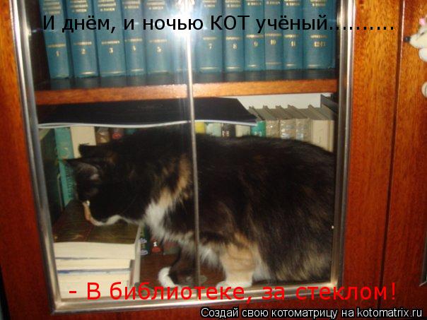 Котоматрица: И днём, и ночью КОТ учёный.......... - В библиотеке, за стеклом!