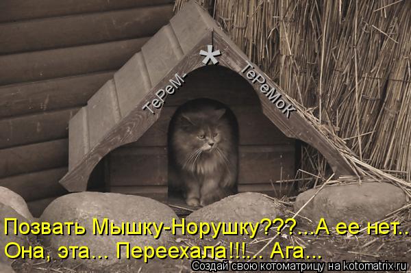 ТеРеМ- ТеРеМоК Позвать Мышку-Норушку???...А ее нет... Она, эта... Переехала!!!... Ага... *... Котоматрица: ТеРеМ- ТеРеМоК Позвать Мышку-Норушку???...А ее нет... Она, эта... Переехала!!!... Ага... *