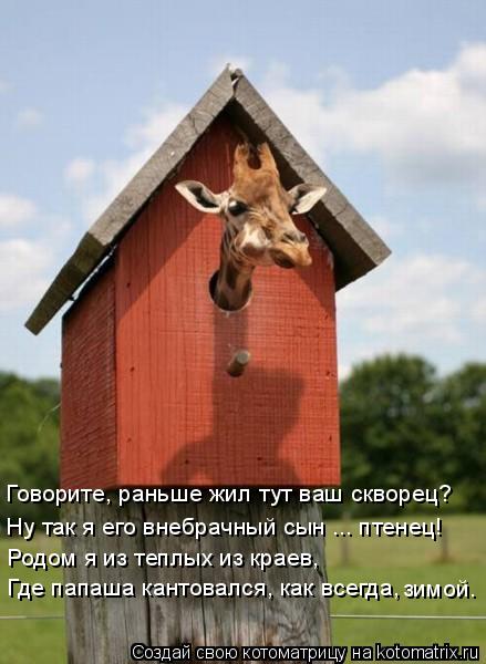 Говорите, раньше жил тут ваш скворец? Ну так я его внебрачный сын ... птенец! Родом я из теплых из кр... Котоматрица: Говорите, раньше жил тут ваш скворец? Ну так я его внебрачный сын ... птенец! Родом я из теплых из краев, Где папаша кантовался, как всегда, зим