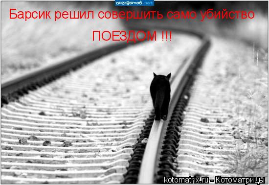 Котоматрица: Барсик решил совершить само убийство  ПОЕЗДОМ !!!