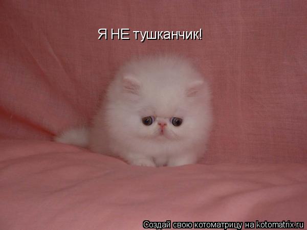 Котоматрица: Я НЕ тушканчик!