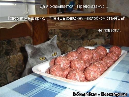 Котоматрица: ... не поверил. Да я оказывается - Предсказамус... Говорил же Шарику - "Не ешь говядину - колобком станешь!"