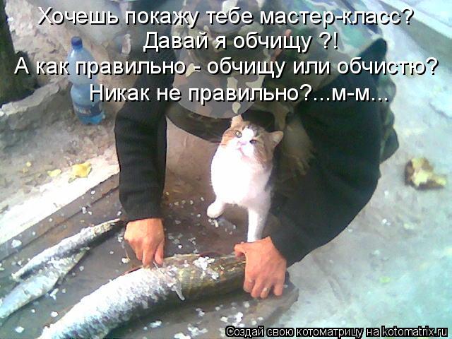 Котоматрица: Хочешь покажу тебе мастер-класс? Давай я обчищу ?!  А как правильно - обчищу или обчистю? Никак не правильно?...м-м...