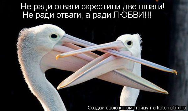 Не ради отваги скрестили две шпаги! Не ради отваги, а ради ЛЮБВИ!!!... Котоматрица: Не ради отваги скрестили две шпаги! Не ради отваги, а ради ЛЮБВИ!!!