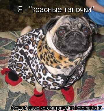 Котоматрица: Я - "красные тапочки"