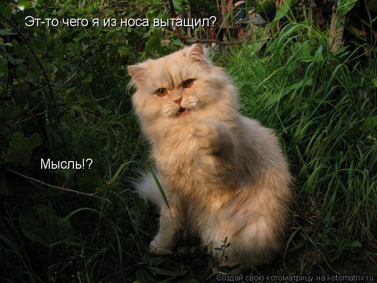 Котоматрица: Эт-то чего я из носа вытащил? Мысль!?
