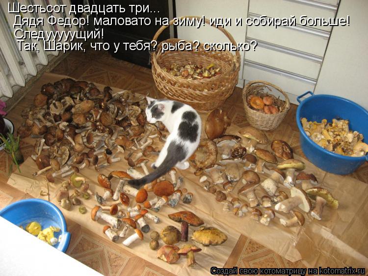 Котоматрица: Шестьсот двадцать три... Дядя Федор! маловато на зиму! иди и собирай больше! Следууууущий! Так, Шарик, что у тебя? рыба? сколько?