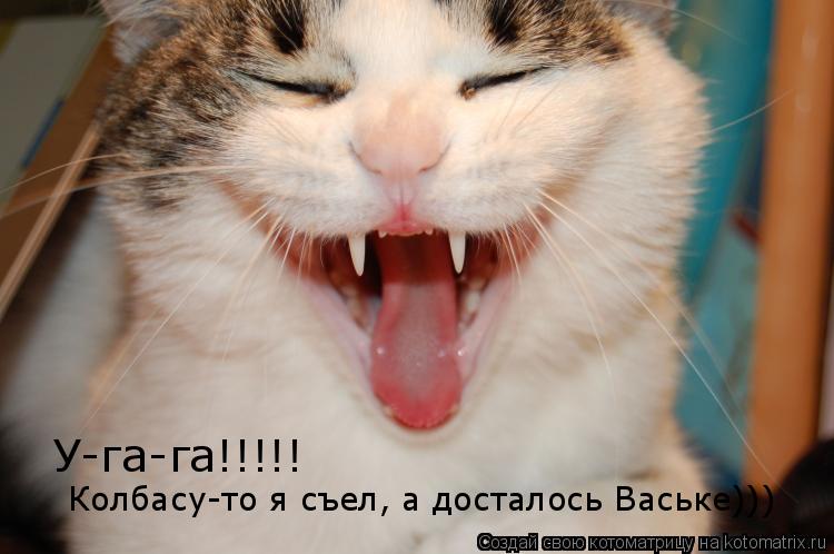У-га-га!!!!! Колбасу-то я съел, а досталось Ваське)))... Котоматрица: У-га-га!!!!! Колбасу-то я съел, а досталось Ваське)))